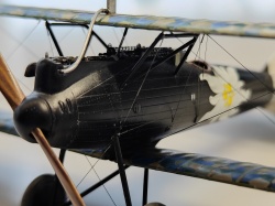 Fly 1/48 Roland d.VIa