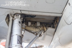 Airbus A-330-200 Nordwind : 1750271988_shassi-nisha-1.jpg
