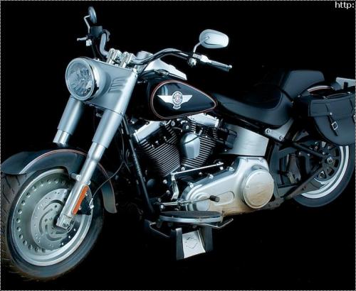 Harley davidson fatboy terminator best sale