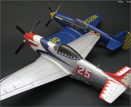 AMG 1/48 P-51B/C,D -  
