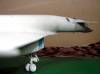 AMT 1/72 North American XB-70 Valkyrie -   