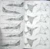  Fujimi 1/72 A-4E/B/C Skyhawk -  