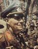  Tamiya 1/16 Feldmarschall Rommel -  