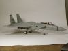 Italeri 1/48 F-15C Eagle -  ,   