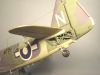 Grand Phoenix 1/48 Fairey Firefly Mk.I -  