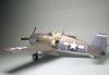 Hasegawa 1/48 F6F-3 Hellcat