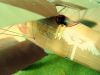 Roden 1/32 Albatros D.III -  