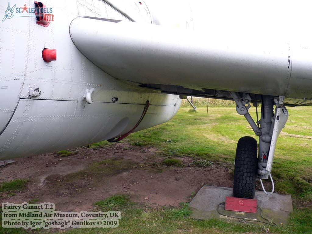 Fairey Gannet (Midland Air Museum, Coventry, UK) : w_gannet_coventry : 24359