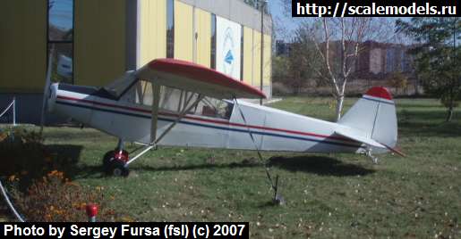 Piper J-3 Cub (, ) : w_piper_tur : 4821