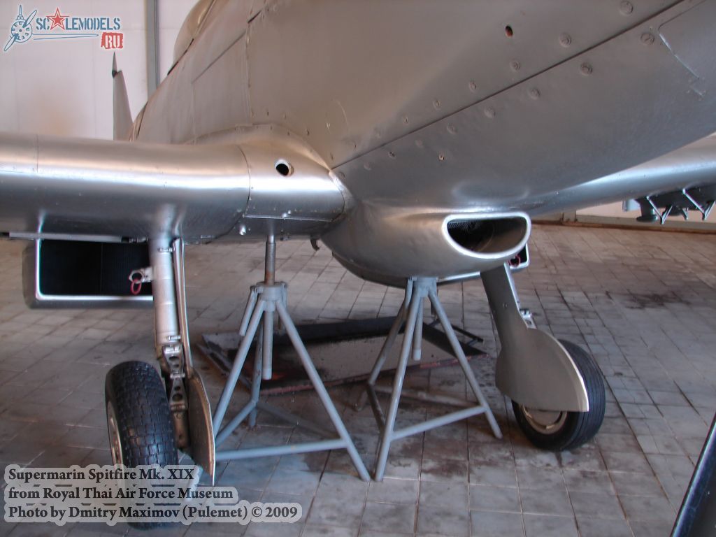 Spitfire Mk.XIX (Royal Thai Airforce Museum) : w_spitfireXIX_thai : 23229