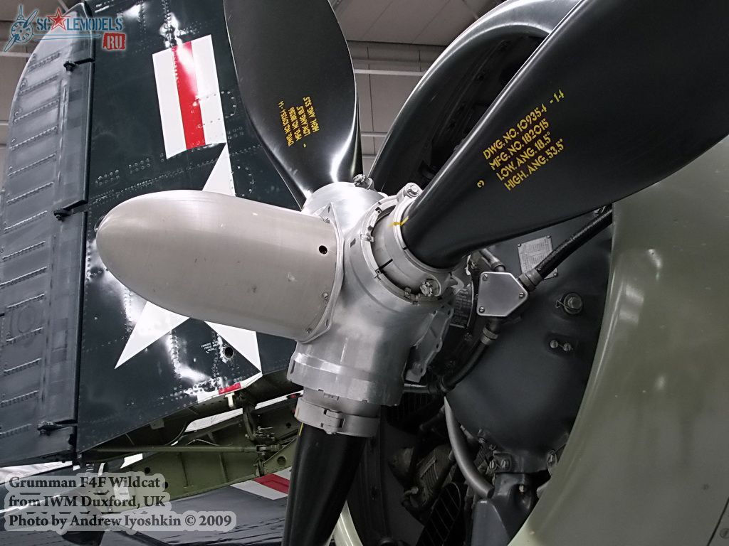 F4F Wildcat (IWM Duxford, UK) : w_wildcat_duxford : 21565