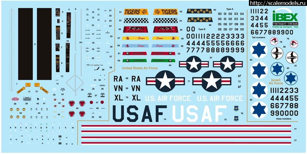 1308725562_texan_decal_image.jpg :   