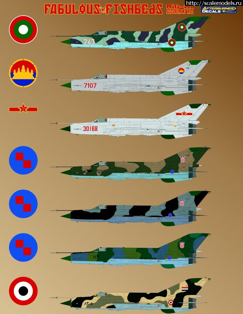 1311937139_migs13.jpg :   