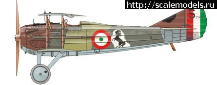 1314990421_camo_d_web.jpg :   