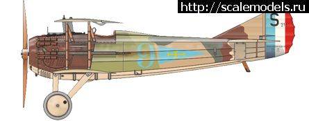 1314990421_camo_e_web.jpg :   