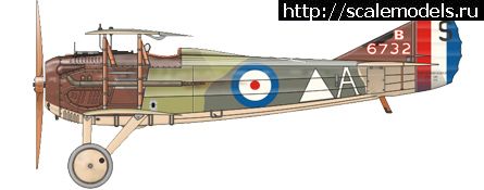 1314990423_camo_c_web.jpg :   