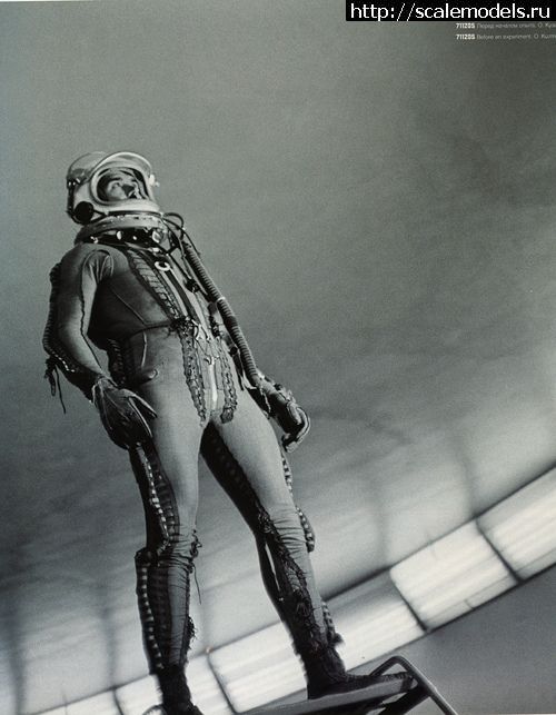 1323146764_lucw2pij.jpg : #605768/    -    