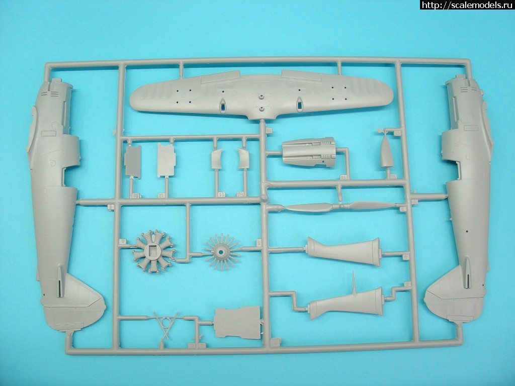 1325679464_DSC00689.jpg :  Henschel.  1(Hs-123 1/48 Revell+aftermarket)  