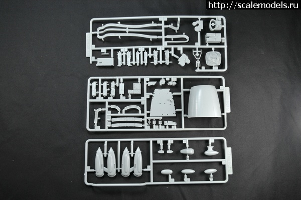 1328179219_p2__000_bb__poto__009_l.jpg :  ������� ����