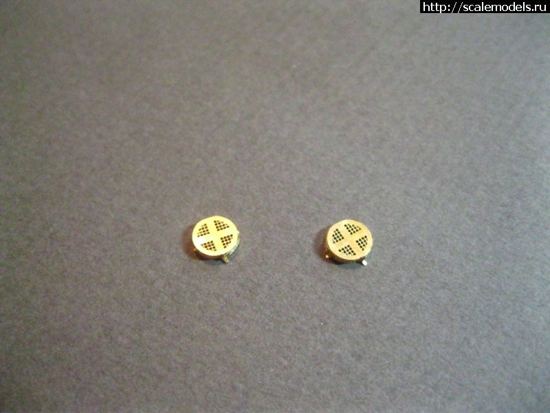 1329142748_IMG_1830.jpg : -76  Trumpeter  