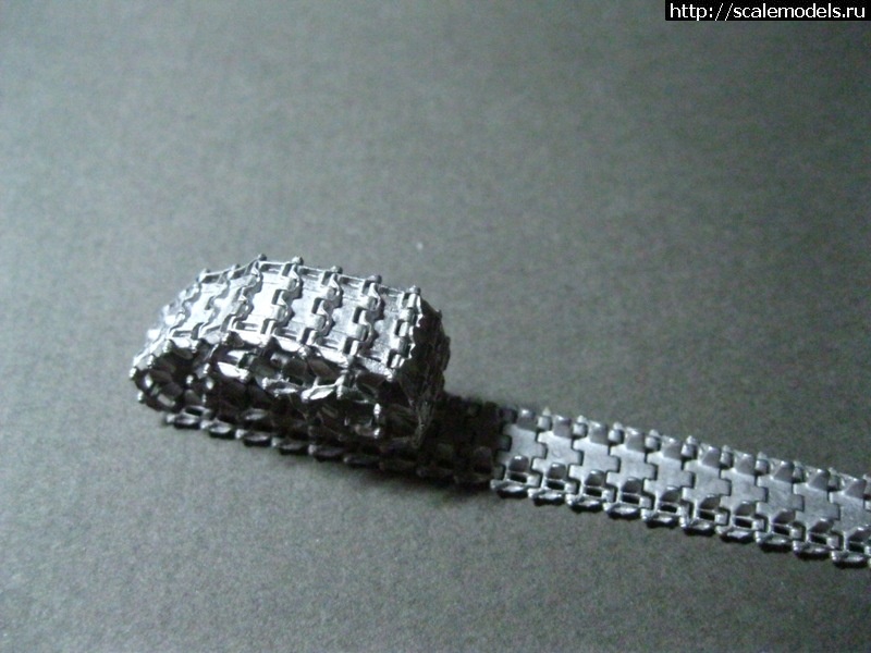 1329143153_IMG_1893.jpg : -76  Trumpeter  