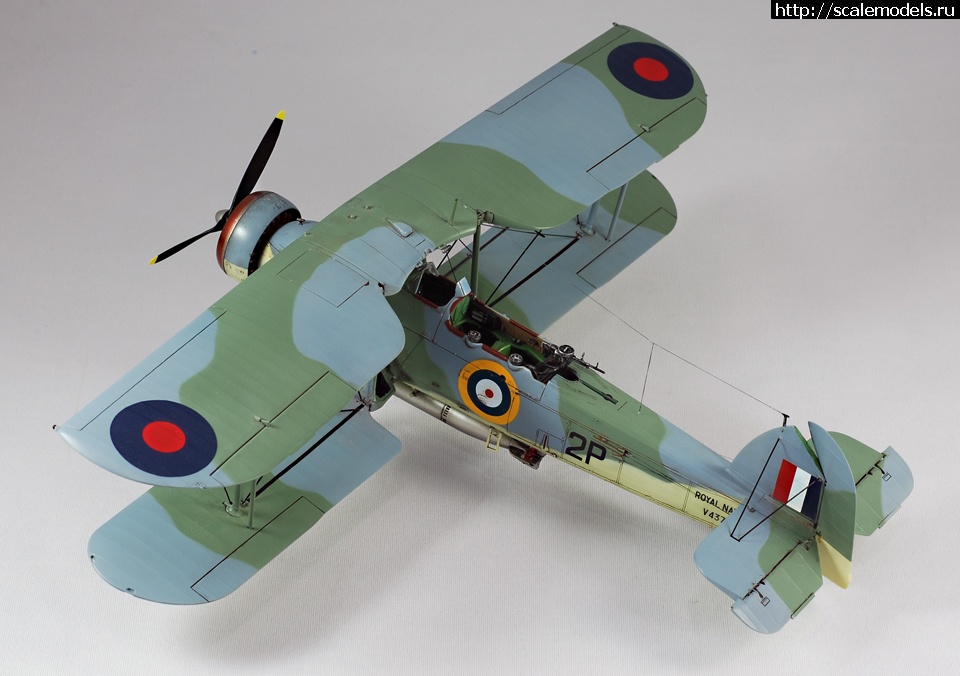 1330605401_image-1.jpg :      "Torpedo Loss&am  
