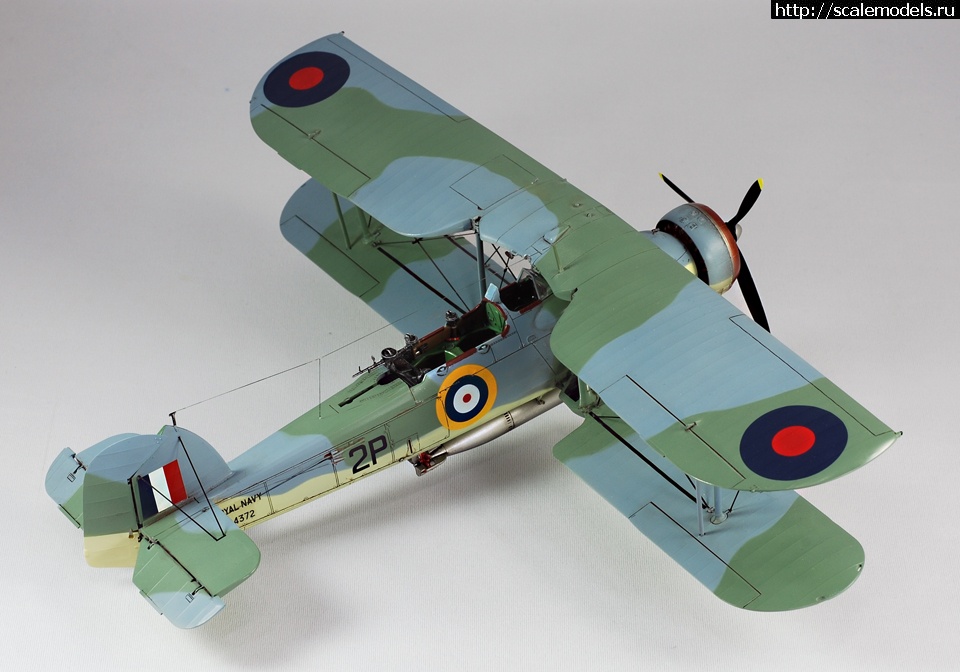 1330605403_image-2.jpg :      "Torpedo Loss&am  