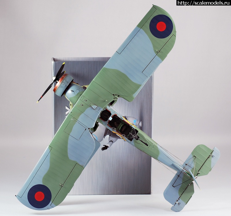 1330605408_image-5.jpg :      "Torpedo Loss&am  