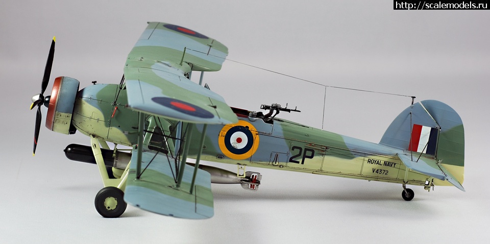 1330605409_image-6.jpg :      "Torpedo Loss&am  