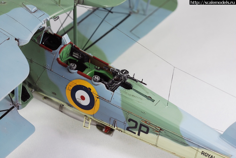 1330605412_image-8.jpg :      "Torpedo Loss&am  