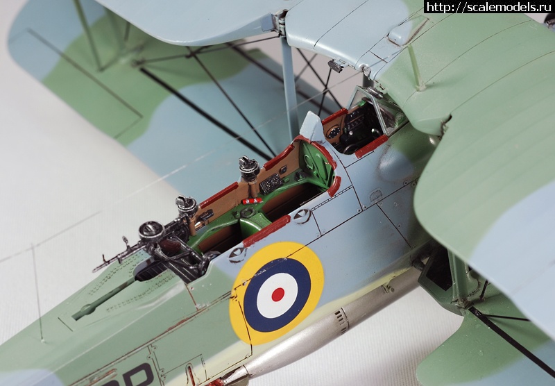 1330605414_image-9.jpg :      "Torpedo Loss&am  