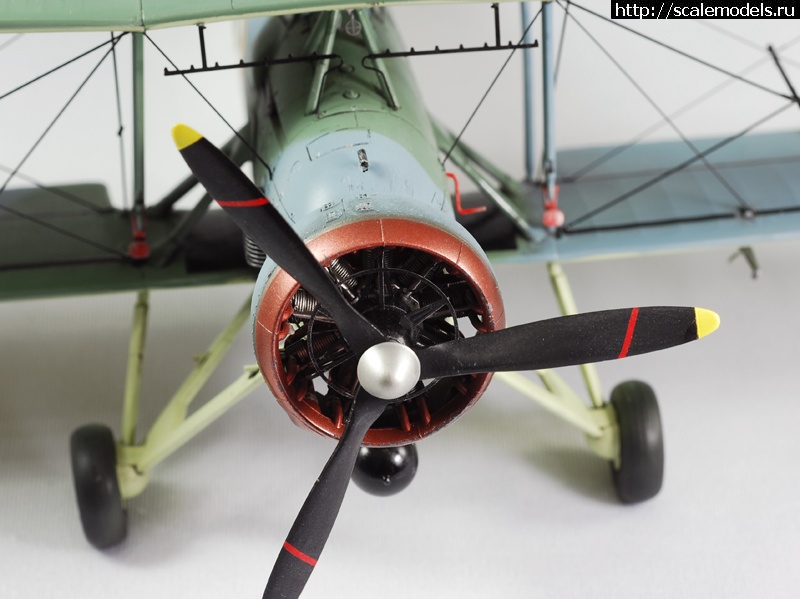 1330605417_image-11.jpg :      "Torpedo Loss&am  