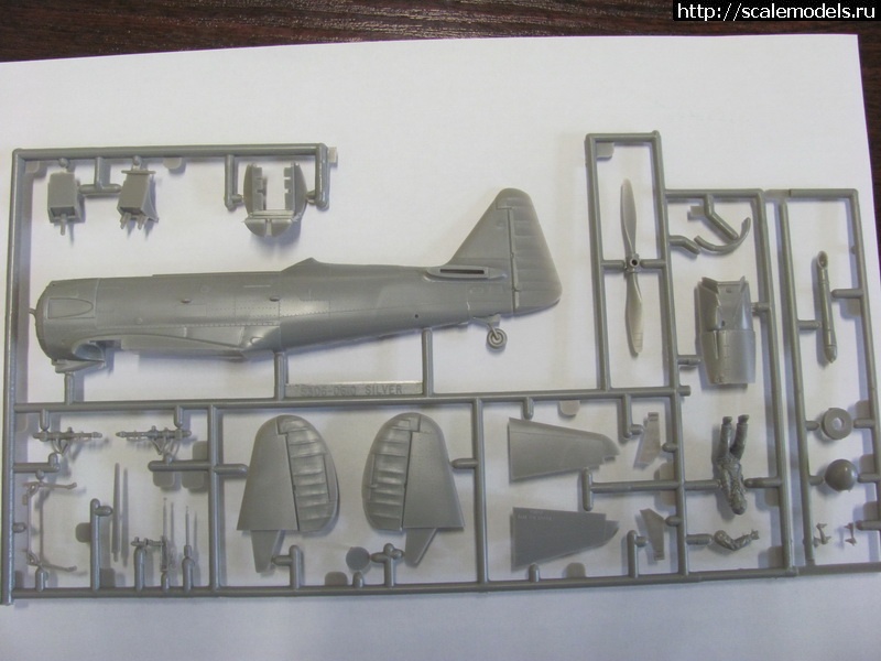 1330607629_03---0.jpg : Beetle Bomb - SNJ-6 Texan  - 1/48 Revell -   