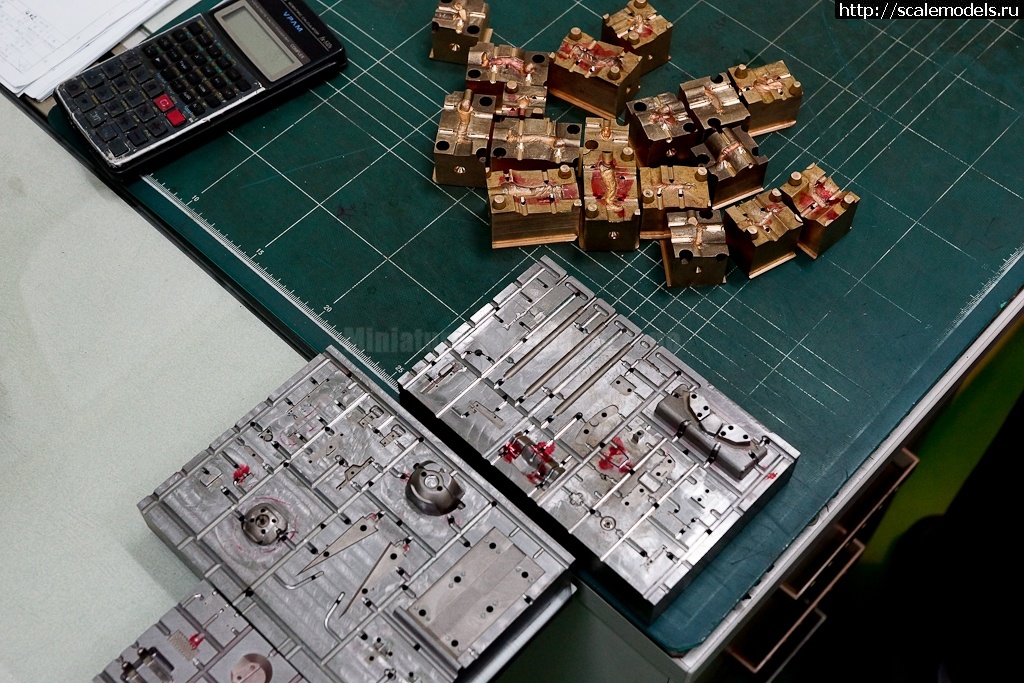 1330608958_10.jpg :  ������� ����