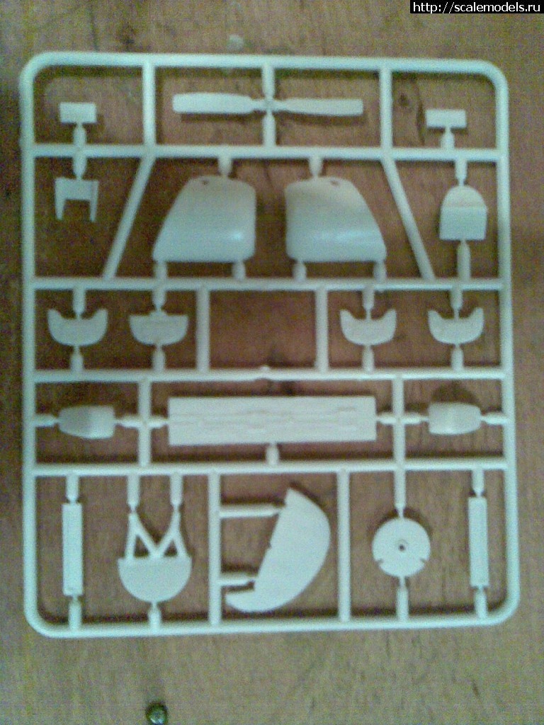 1333563507_rr-50-r-48-010.jpg : -50 1/48  Amodel   