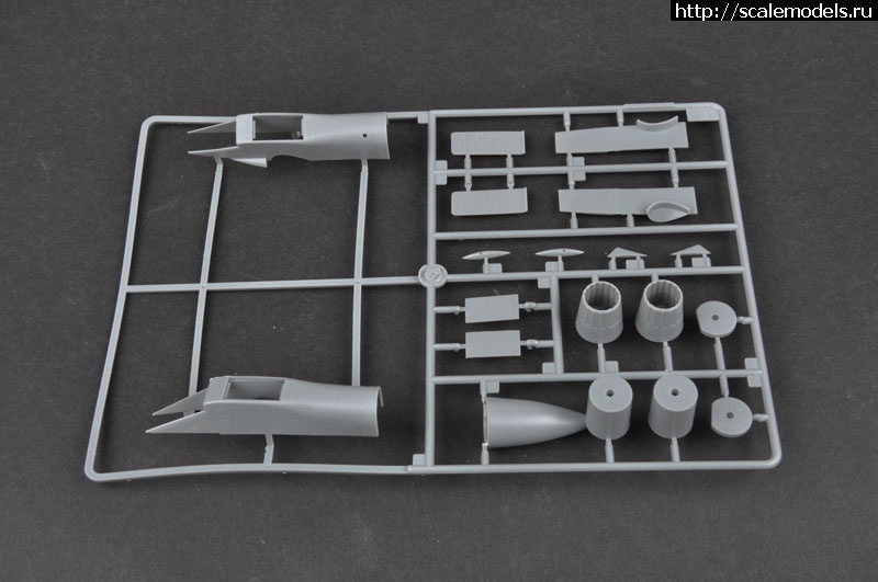 1333962751_7-12040G51139139.jpg :   