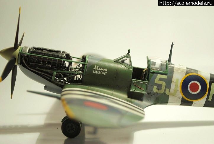 1334658463_3.jpg :  . 1/48. .  