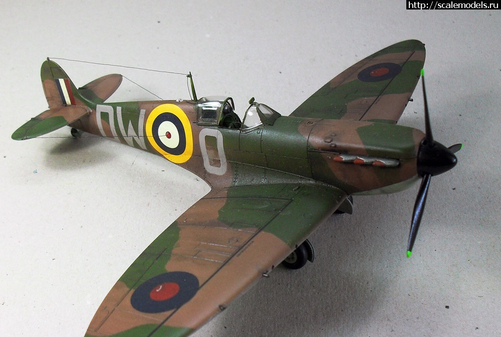 1334658737_3.jpg :  . 1/48. .  