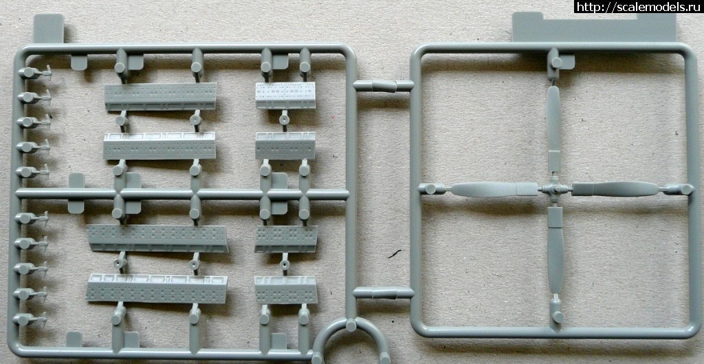 1334666639_P1030051.jpg : #674501/  Dragon: 1/72 SB2C-4 Helldiver(#3717) -   