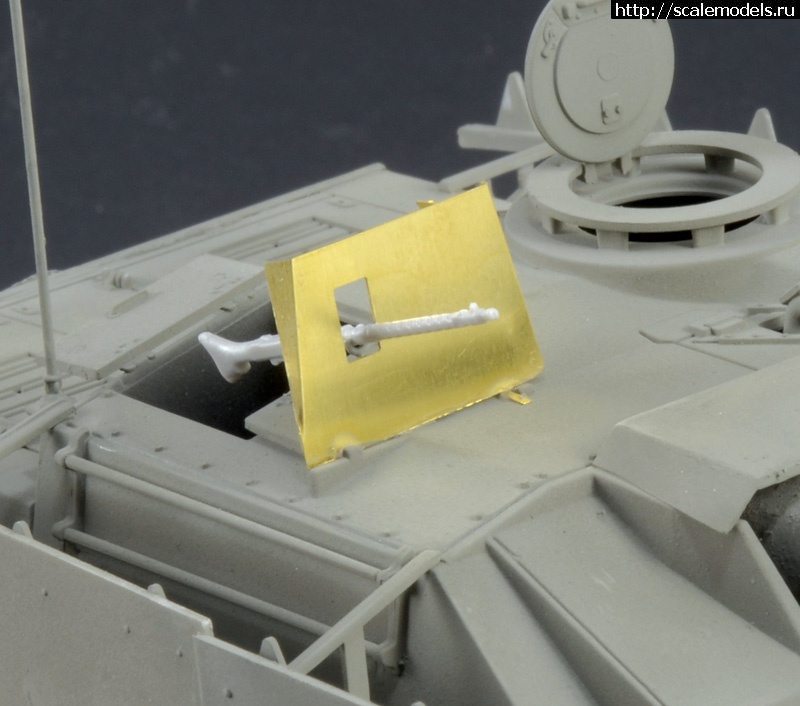 1335951050_6491_foto_scudoMGfronte-LR.jpg :   