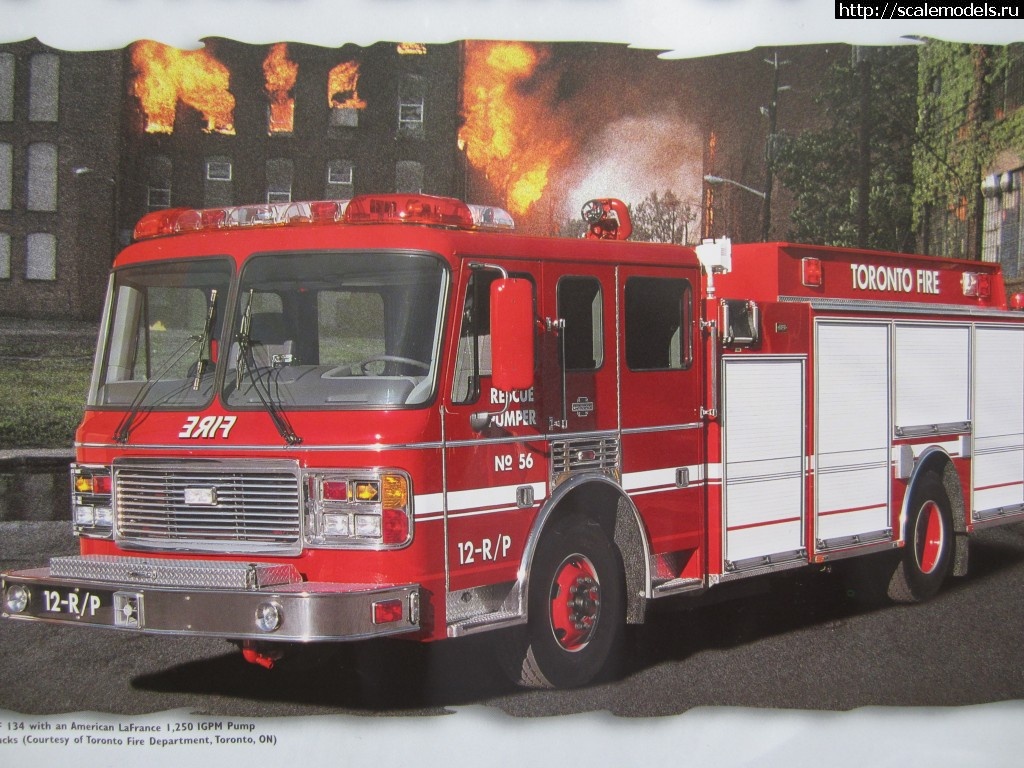 1336144561_IMG_1553.jpg : #683519/ � �������� ������� ������� ����