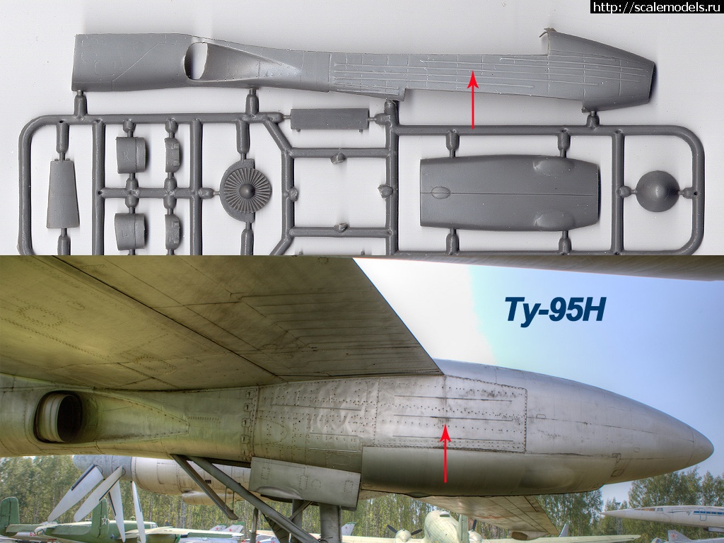 1337433747_015.jpg : #691414/ Amodel -95/ 1/72  