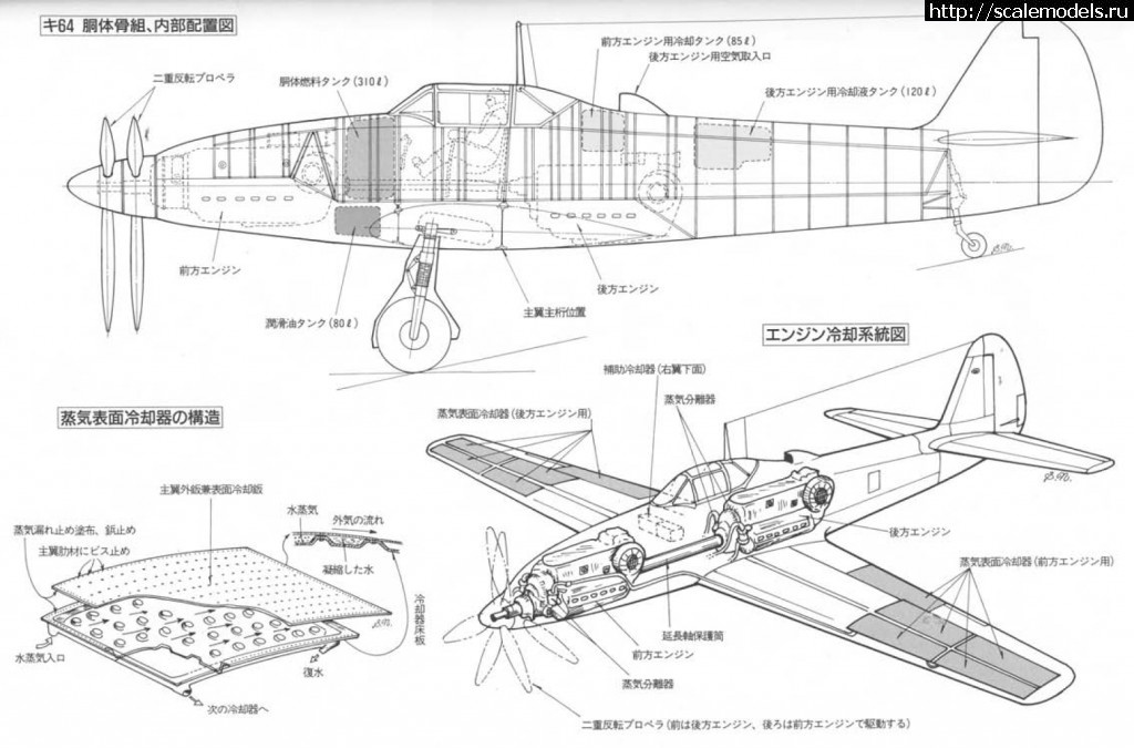 1337539805_yufyufkiyukfyukf.jpg :   Ki-64  