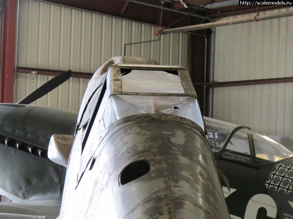 1338147633_IMG_0754.jpg : #695242/  1/48 Bf-109F-2(#5290) -   