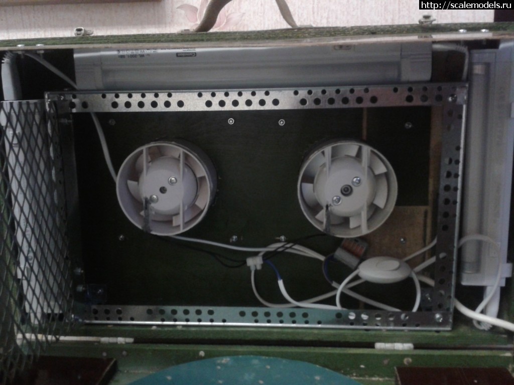 1338835986_rrrrrrr_000097.jpg : ���������� ���� ������ ������ ������� ����