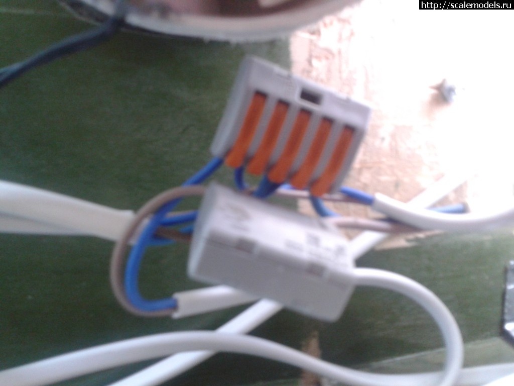 1338836272_rrrrrrr_000103.jpg : ���������� ���� ������ ������ ������� ����