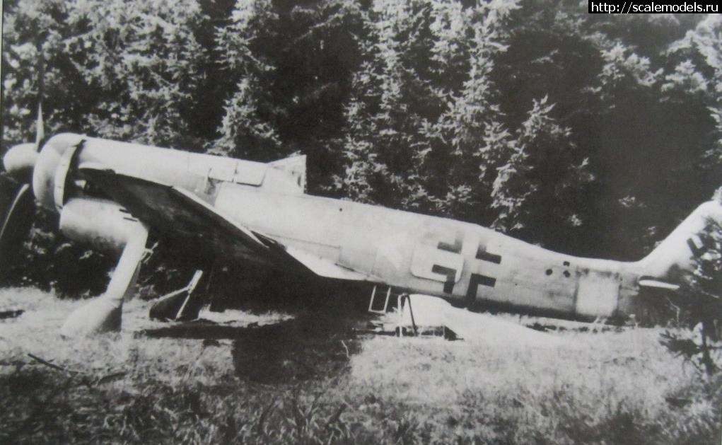 1339872309_d_11_220009.jpg : Re: Dragon 1/48 Fw-190D/ Dragon 1/48 Fw-190D(#5356) -   