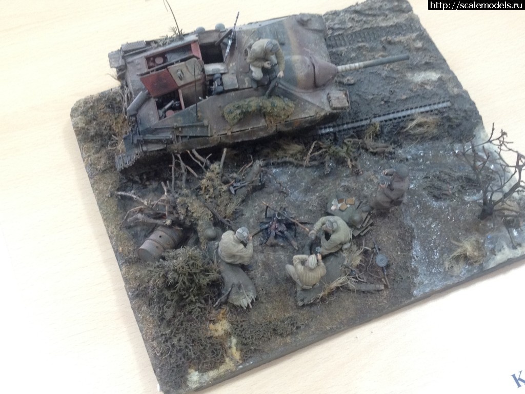 1339961781_IMG_0333.jpg : #704770/       