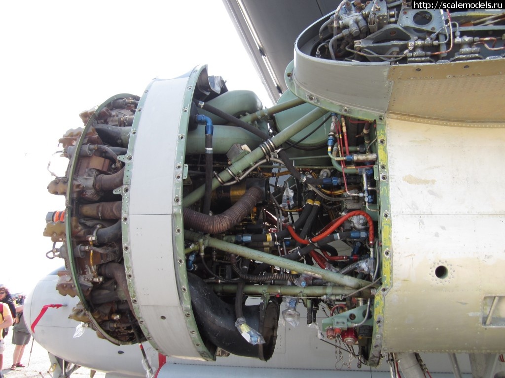 1341481312_IMG_3162.jpg : Walkaround de Havilland CS2F-2 Tracke...(#4845) -   