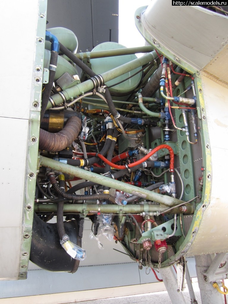 1341481362_IMG_3164.jpg : Walkaround de Havilland CS2F-2 Tracke...(#4845) -   